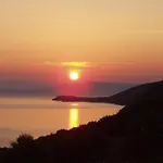 Balota Kuciste