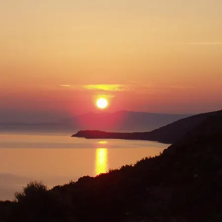 Balota Kućište