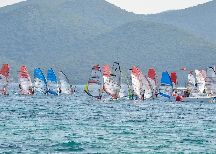Balota 3* Kuciste